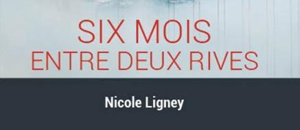 Journalisme et fiction