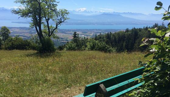 Balade dans le Jura