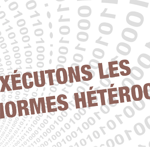 Atelier « Exécutons les normes hétérocis »