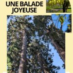 UNE BALADE JOYEUSE !
