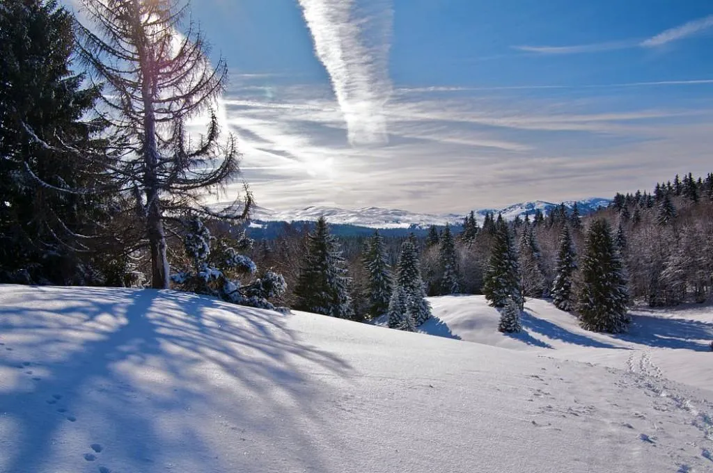 Paysage - Jura