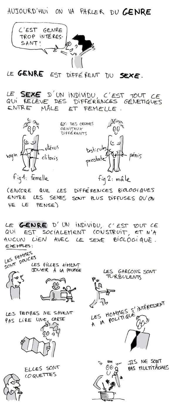Théorie du djendeur BD
